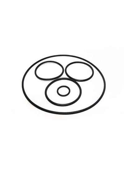Pentair/Purex Brass Rotor O-Ring Kit - V20-319