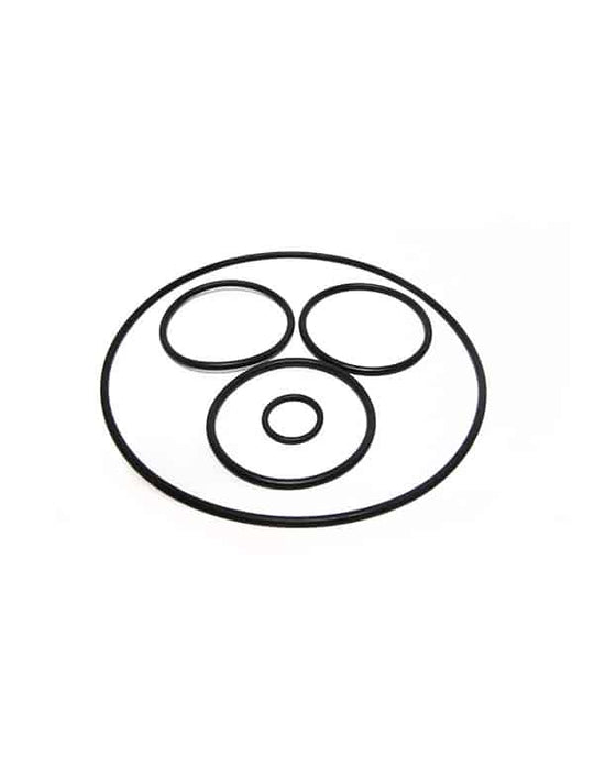 Pentair/Purex Brass Rotor O-Ring Kit - V20-319