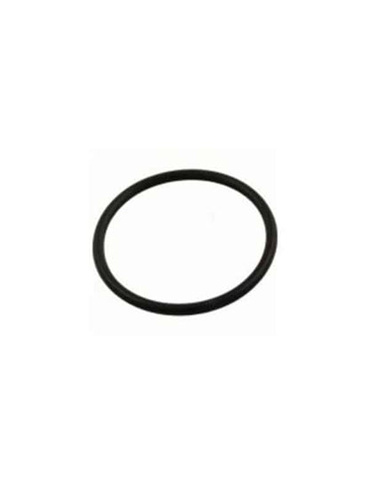 Hayward Standard/Large Canister Lid O-Ring - V60-302