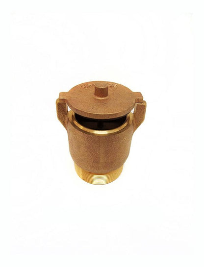 Val-Pak Hydrostatic Relief Valve 2" Brass N/A - V50-126