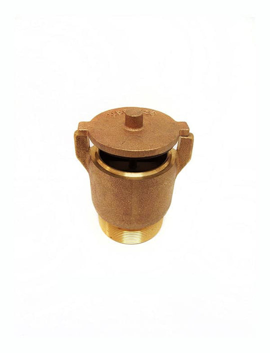 Val-Pak Hydrostatic Relief Valve 2" Brass N/A - V50-126
