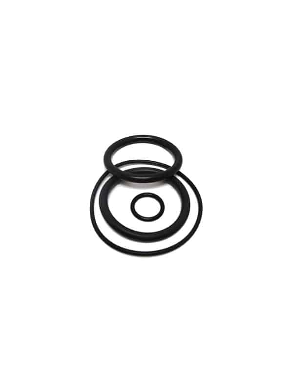 Jandy Backwash O-Ring Kit - V55-120