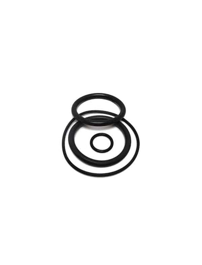 Jandy Backwash O-Ring Kit - V55-120