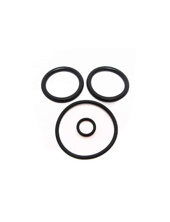 Pentair PacFab Piston ORing Set 2 Inch Plastic V36186