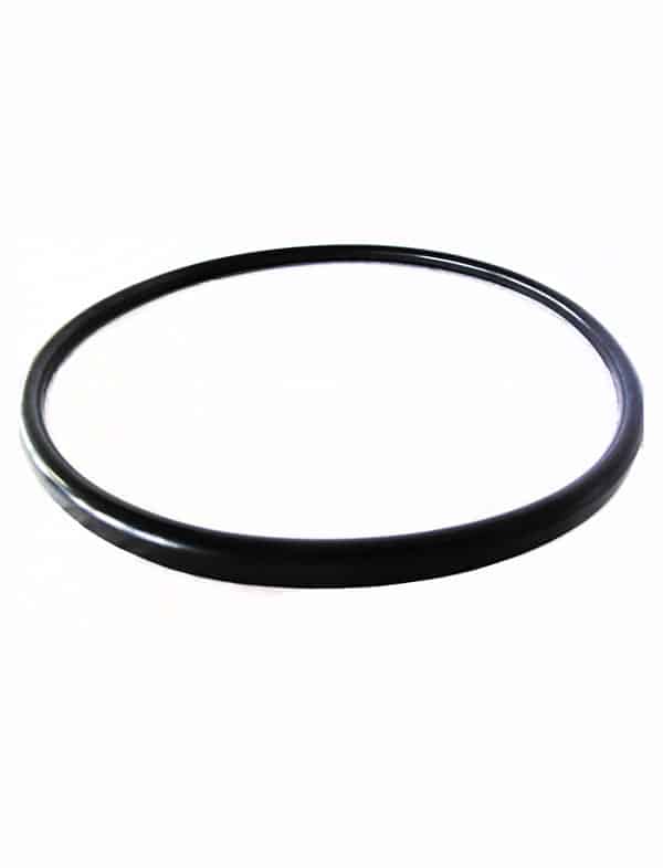 Pentair Quantum Manifold Gasket - CM, RPM & S.S. 57000300 - V38-221
