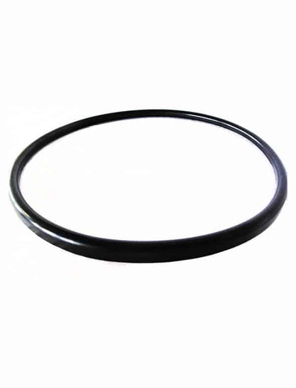 Pentair Quantum Manifold Gasket - CM, RPM & S.S. 57000300 - V38-221