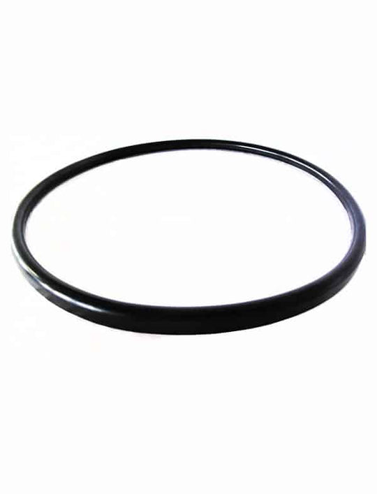 Pentair Quantum Manifold Gasket - CM, RPM & S.S. 57000300 - V38-221