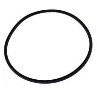 Hayward Manway Cover Gasket - HCXFMCG1000