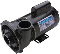 pump executive waterway spa 4hp pool 5hp